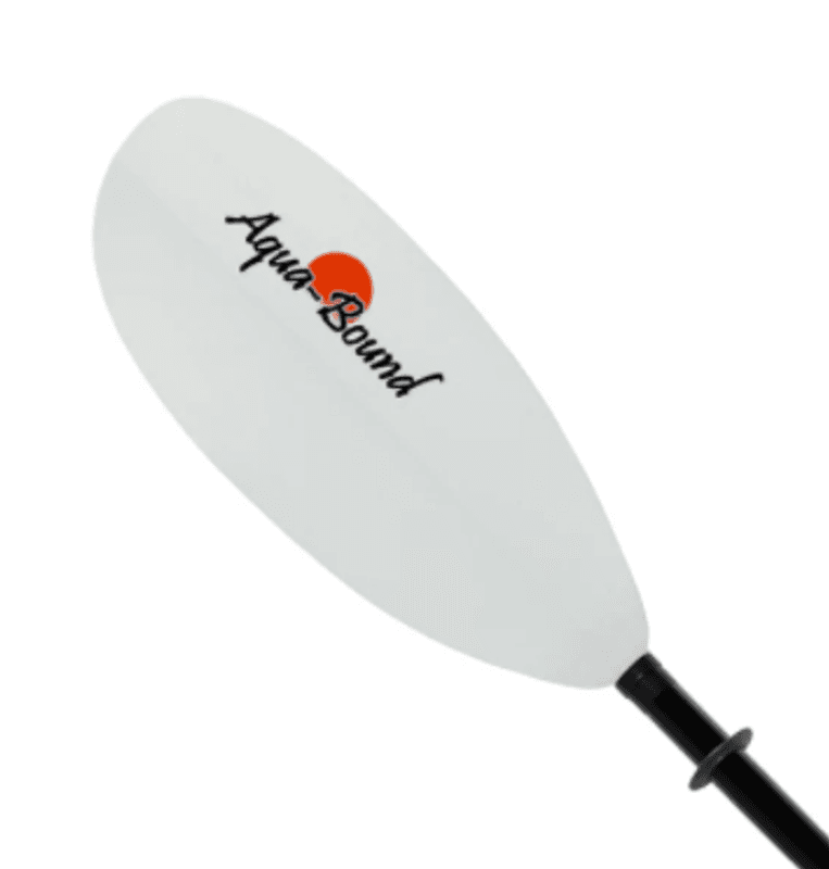 Aqua-Bound Manta Ray 