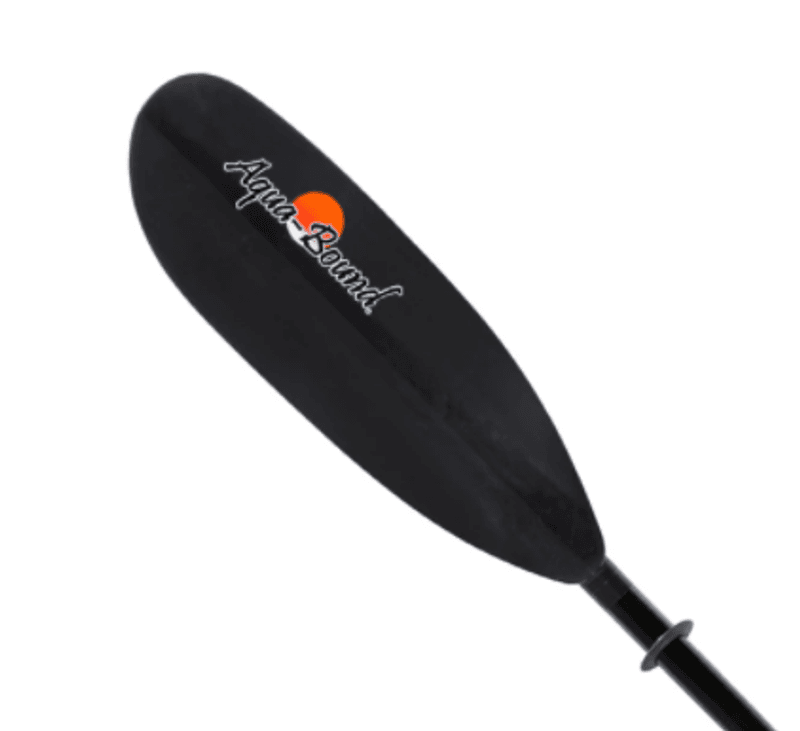 Aqua-Bound Eagle Ray